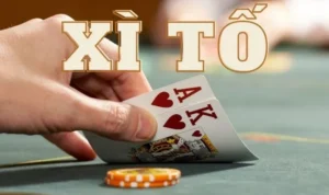 Xì Tố Tại KG88